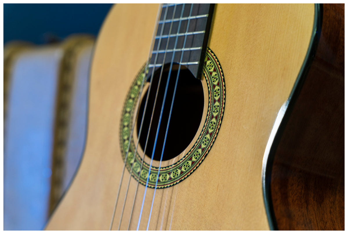 Delta Woods® CNS-1™ Classical Nylon String Guitar image 8