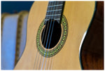 Delta Woods® CNS-1™ Classical Nylon String Guitar image 8