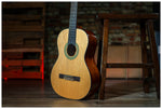 Delta Woods® CNS-1™ Classical Nylon String Guitar image 7