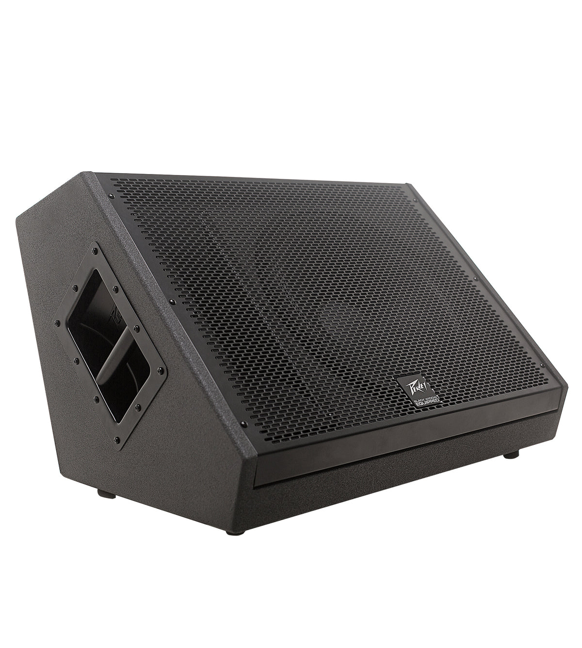 SP® 12M 12 inch Floor Monitor image 0