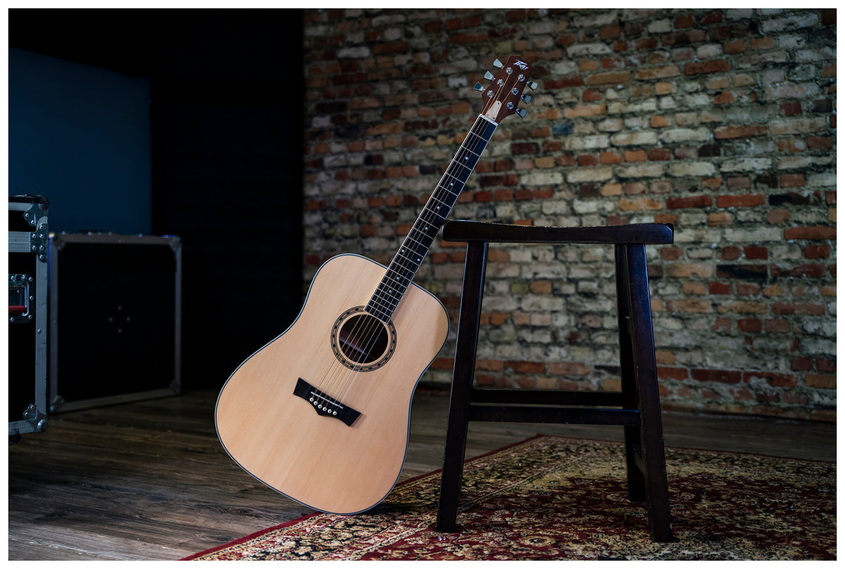 Delta Woods® DW-1™ Acoustic Guitar with Bag image 8