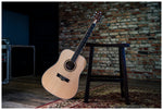 Delta Woods® DW-1™ Acoustic Guitar with Bag image 8