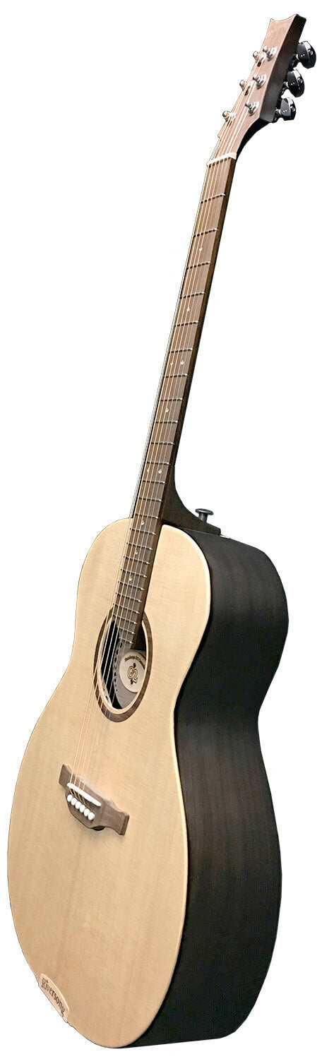 Riversong Magagna G2 Acoustic Guitar image 3