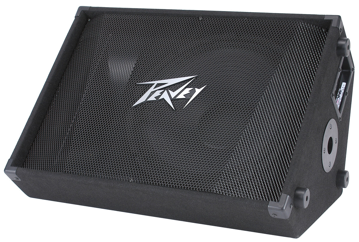 PV® 15M  2-Way Floor Monitor image 1