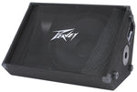 PV® 15M  2-Way Floor Monitor image 1