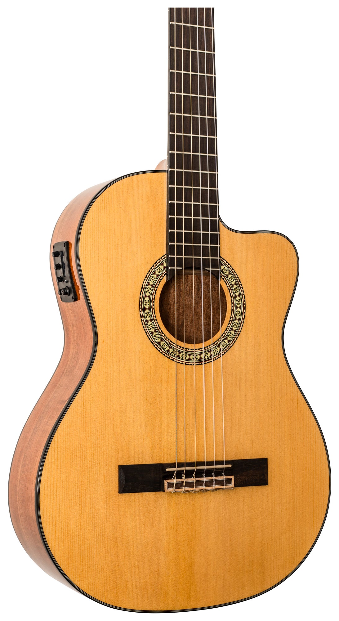 Delta Woods® CNS-CE™ Classical Nylon String Guitar with Electronics image 4