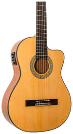 Delta Woods® CNS-CE™ Classical Nylon String Guitar with Electronics image 4