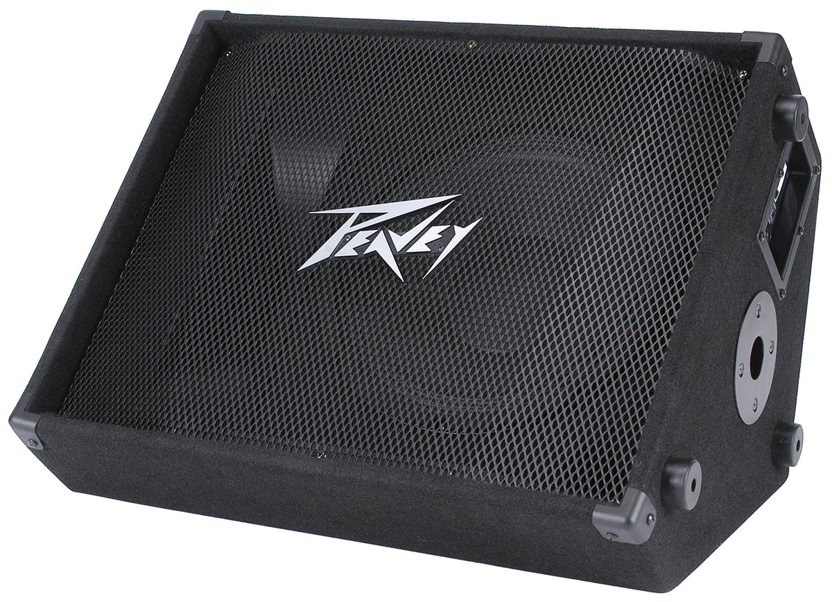 PV® 12M  2-Way Floor Monitor image 2
