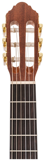 Delta Woods® CNS-CE™ Classical Nylon String Guitar with Electronics image 5
