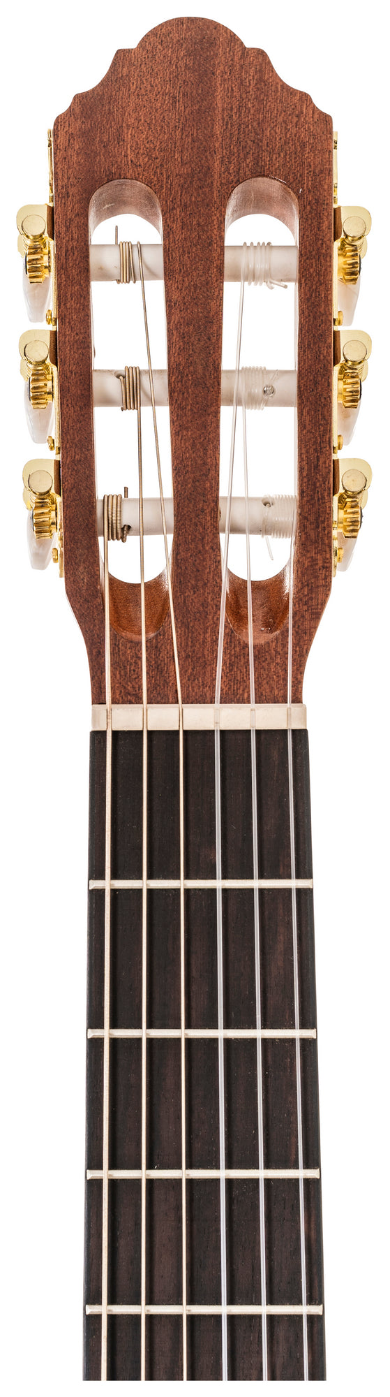Delta Woods® CNS-CE™ Classical Nylon String Guitar with Electronics image 5