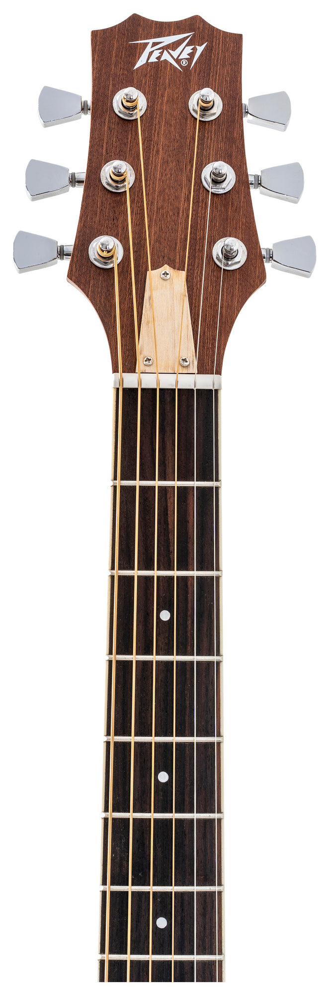 Delta Woods® DW-2™ Solid Top Dreadnought Acoustic Guitar image 5