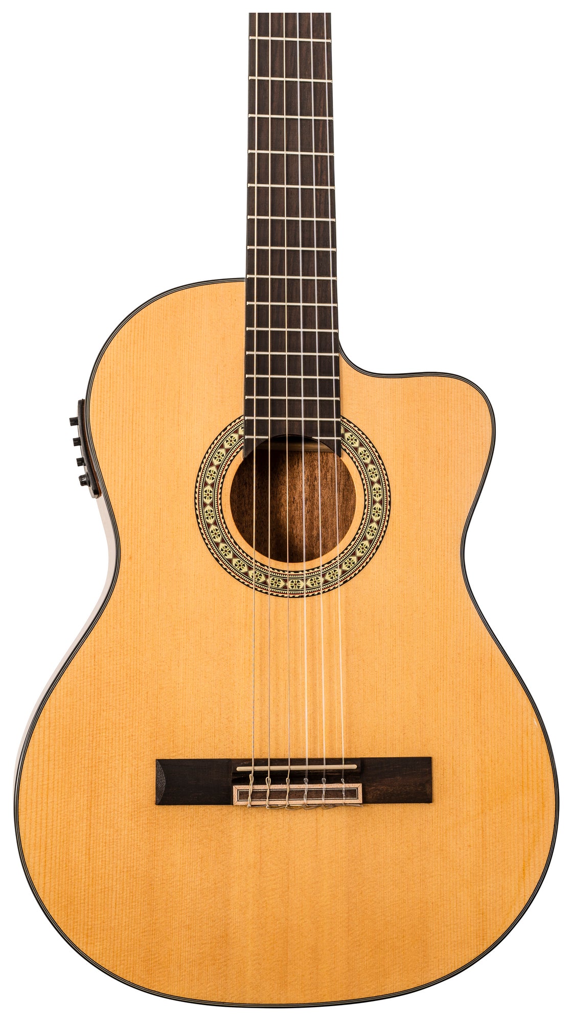 Delta Woods® CNS-CE™ Classical Nylon String Guitar with Electronics image 2