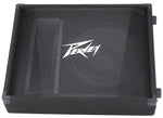 PV® 12M  2-Way Floor Monitor image 1