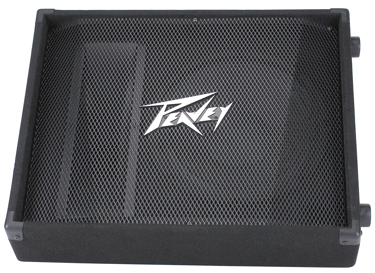 PV® 12M  2-Way Floor Monitor image 1