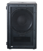 PVs 12 Vented Powered Bass Subwoofer image 0