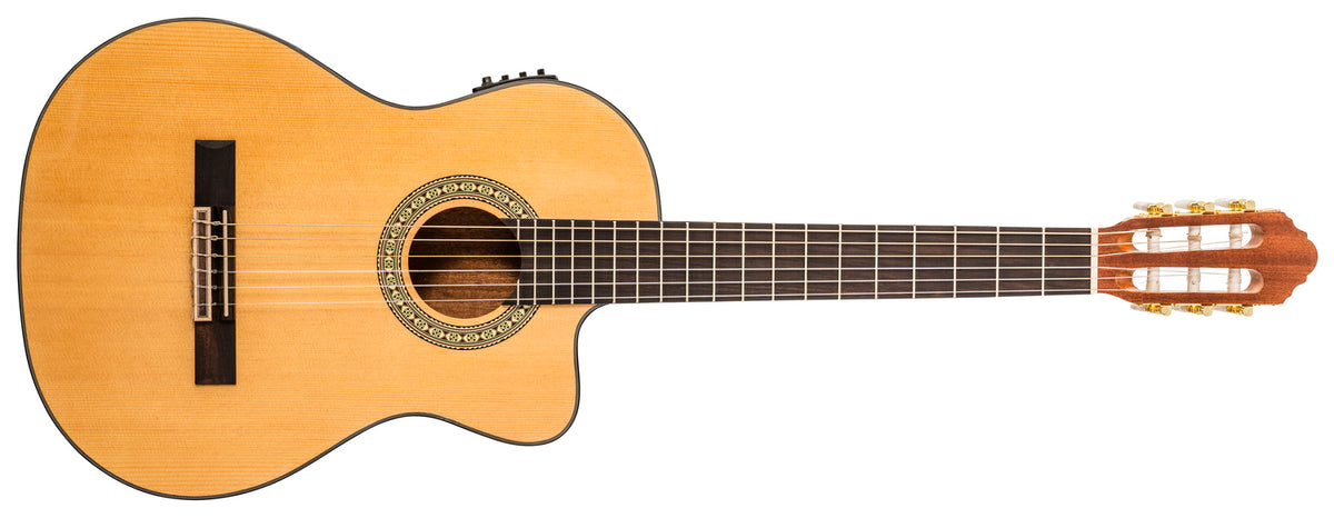 Delta Woods® CNS-CE™ Classical Nylon String Guitar with Electronics image 0