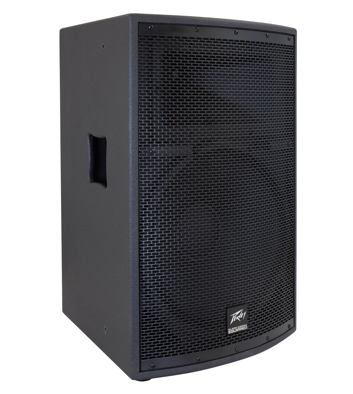 SP® 2 2-Way PA Speaker image 3