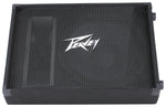 PV® 15M  2-Way Floor Monitor image 0