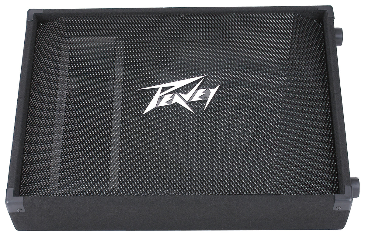 PV® 15M  2-Way Floor Monitor image 0