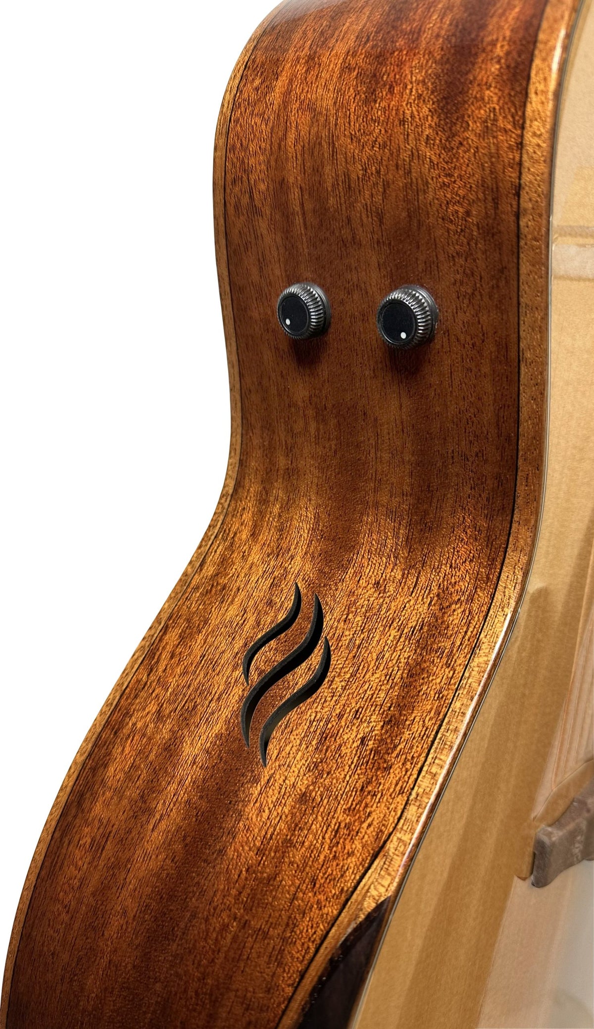 Riversong Dragon Slayer P555-CE A Acoustic Guitar image 2