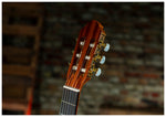 Delta Woods® CNS-1™ Classical Nylon String Guitar image 10