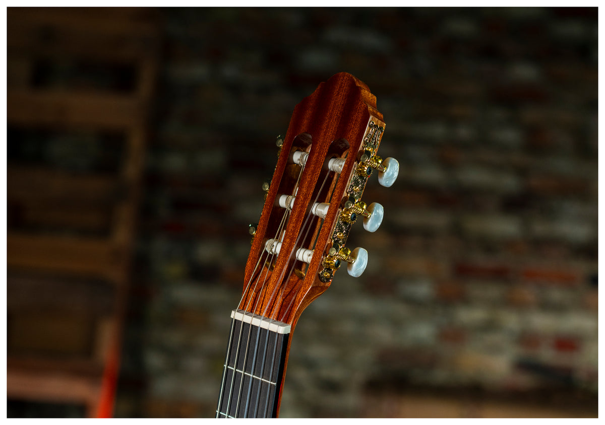 Delta Woods® CNS-1™ Classical Nylon String Guitar image 10