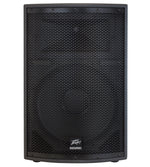 SP® 2 2-Way PA Speaker image 0