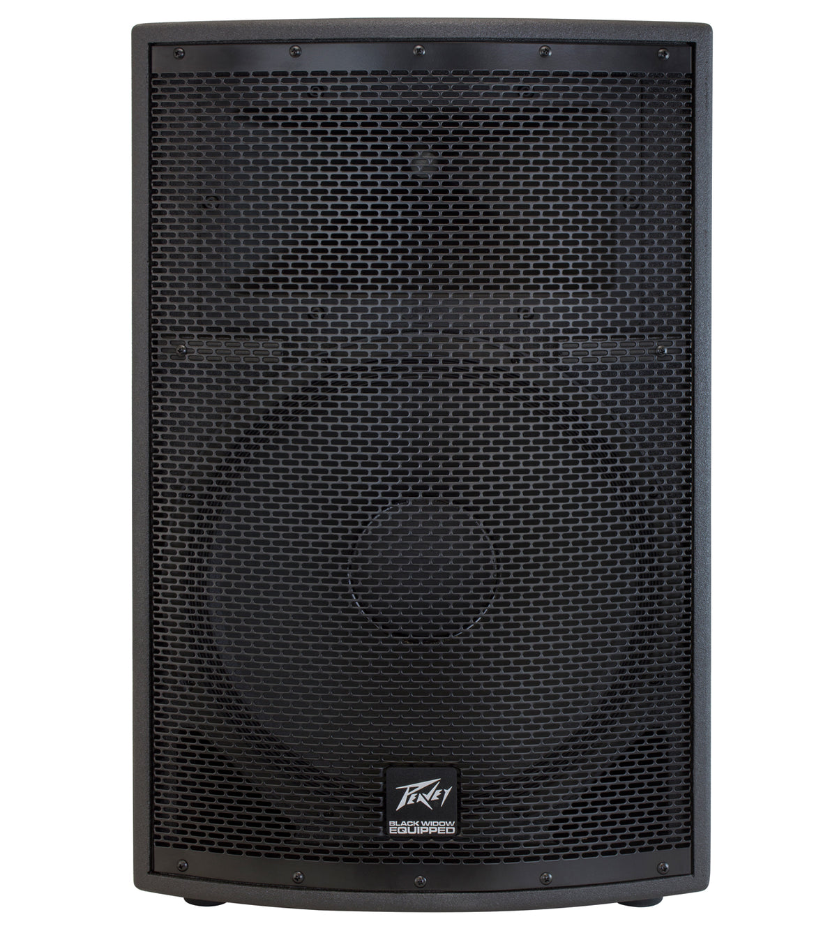 SP® 2 2-Way PA Speaker image 0