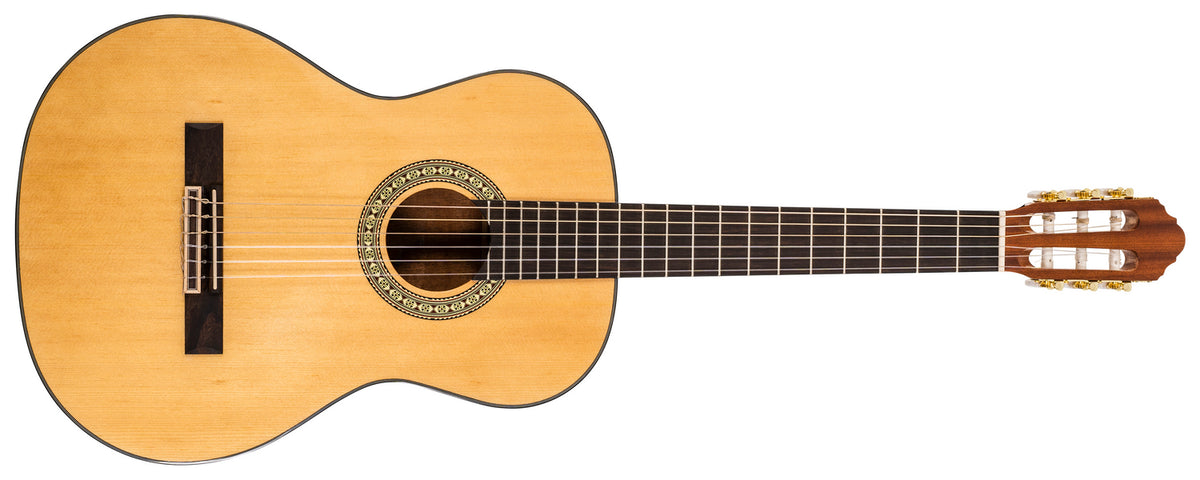 Delta Woods® CNS-1™ Classical Nylon String Guitar image 0