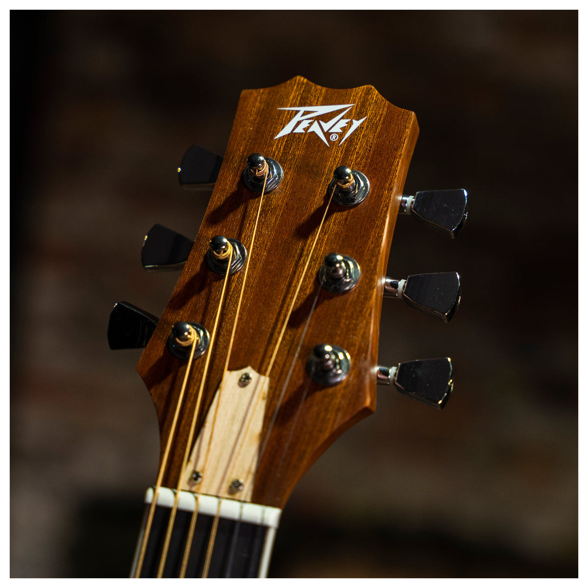 Delta Woods® DW-2 CE™ Solid Top Cutaway Acoustic-Electric Guitar with Electronics image 10