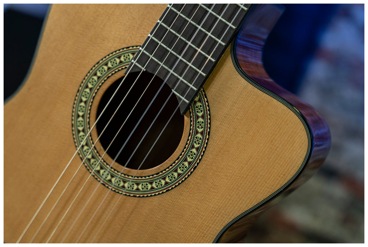 Delta Woods® CNS-CE™ Classical Nylon String Guitar with Electronics image 9