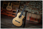 Delta Woods® CNS-CE™ Classical Nylon String Guitar with Electronics image 6