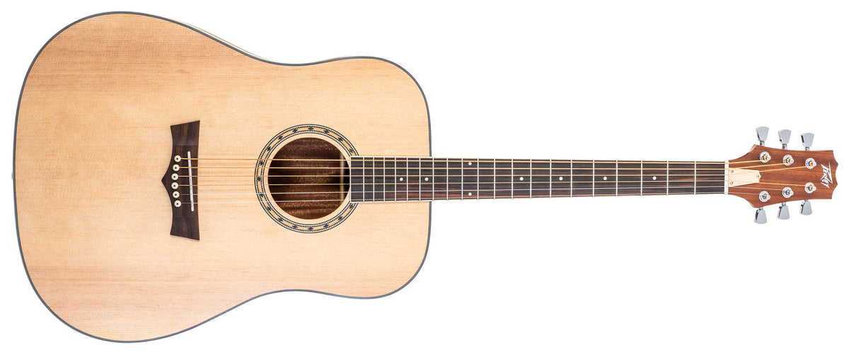 Delta Woods® DW-2™ Solid Top Dreadnought Acoustic Guitar image 0