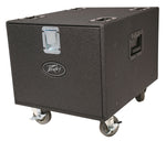 Peavey-10-RU-ROAD-RACK-1.jpg