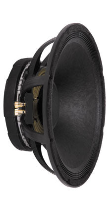 Peavey-15-Pro-Rider-AL-CP-Subwoofer-1.jpg