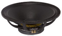 Peavey-18-Pro-Rider-1.jpg