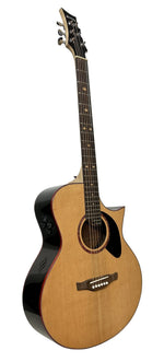Riversong Stylist Deluxe Acoustic Electric Guitar image 2