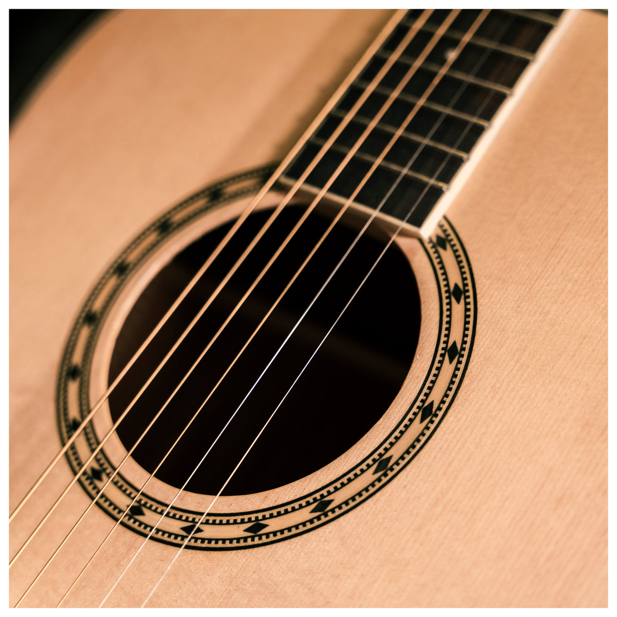 Delta Woods® DW-2™ Solid Top Dreadnought Acoustic Guitar image 7