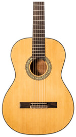 Delta Woods® CNS-1™ Classical Nylon String Guitar image 2