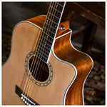 Delta Woods® DW-2 CE™ Solid Top Cutaway Acoustic-Electric Guitar with Electronics and Case image 8