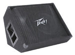 PV® 12M  2-Way Floor Monitor image 0