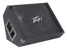 PV® 12M  2-Way Floor Monitor image 0