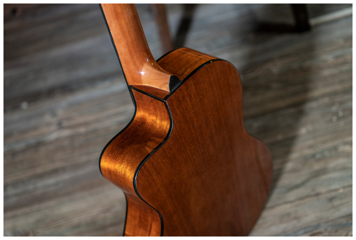 Delta Woods® CNS-CE™ Classical Nylon String Guitar with Electronics image 10