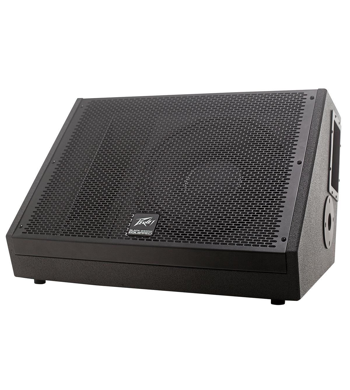 SP® 12M 12 inch Floor Monitor image 1