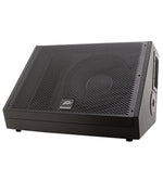 SP® 12M 12 inch Floor Monitor image 1