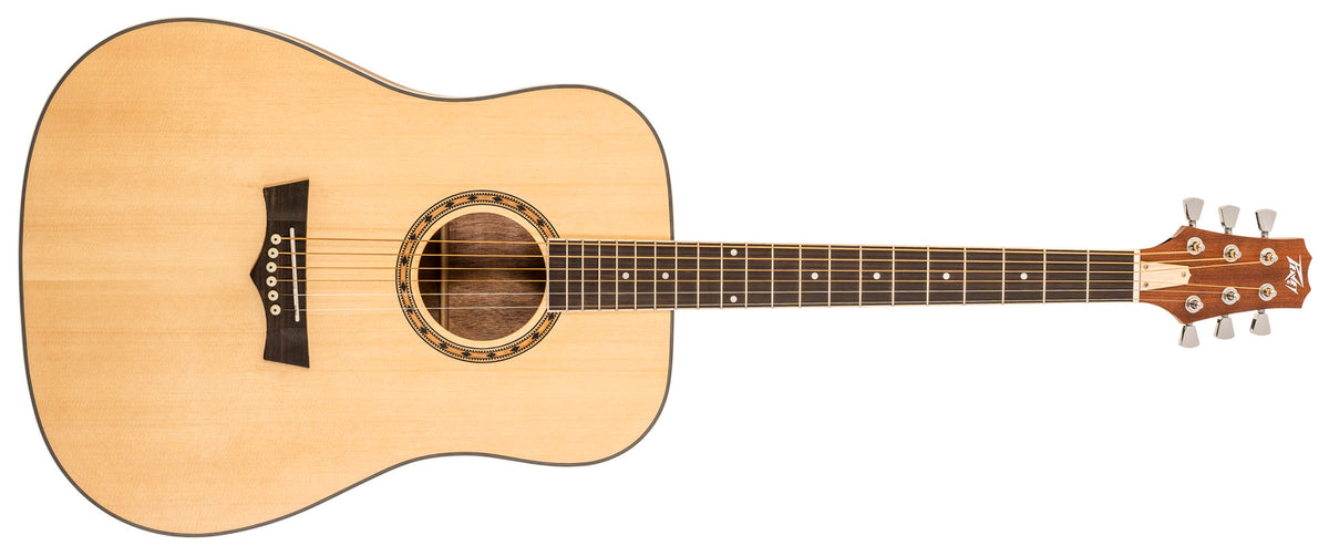 Delta Woods® DW-1™ Acoustic Guitar with Bag image 0