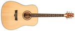 Delta Woods® DW-1™ Acoustic Guitar with Bag image 0