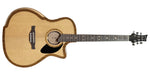 Riversong P2P-GA The River Pacific Acoustic Electric Guitar image 0