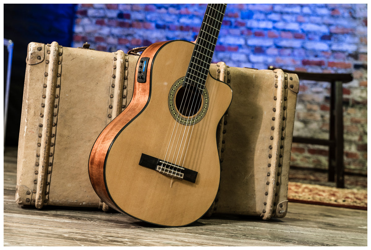 Delta Woods® CNS-CE™ Classical Nylon String Guitar with Electronics image 7