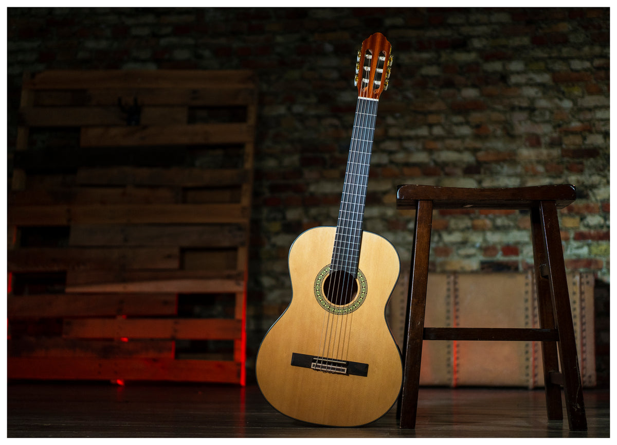 Delta Woods® CNS-1™ Classical Nylon String Guitar image 6